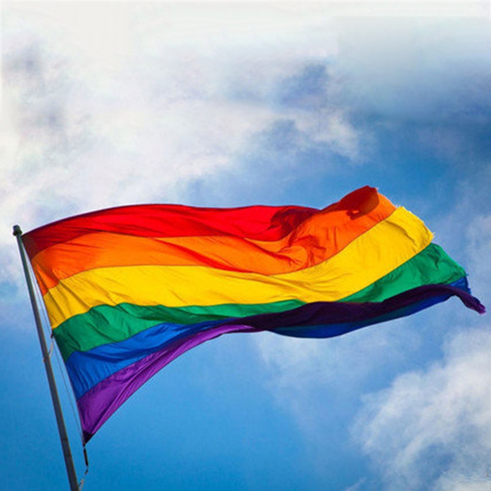 5x Regenbogen Fahne Flagge Rainbow mit STOCK 30x45 Gay Lesbian Schwenkfahne NEU